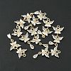 Brass Pave Cubic Zirconia Pendants X-KK-G462-47KCG-4