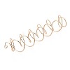 201 Stainless Steel Plant Hangers STAS-N120-02G-3