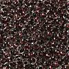 6/0 Transparent Colours Glass Seed Beads SEED-P006-01A-02-3
