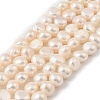 Natural Cultured Freshwater Pearl Beads Strands PEAR-P064-19J-06D-2