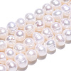 Natural Cultured Freshwater Pearl Beads Strands X-PEAR-N013-05K-5