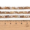 Natural Freshwater Shell Beads Strands SH-CBA93AD-03-4