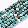 Natural Howlite Beads Strands G-L555-02-8mm-1