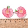 Fruit Theme Opaque Resin Imitation Food Pendants RE-CBA49A8-04H-3