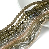 Electroplate Glass Beads Strands EGLA-FS0001-42E-2