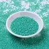 MIYUKI Round Rocailles Beads SEED-JP0008-RR0572-2