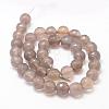 Natural Agate Bead Strands G-K155-D-10mm-F01-2