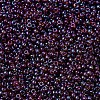 MIYUKI Round Rocailles Beads X-SEED-G007-RR0302-3