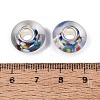 Handmade Lampwork & Brass Core European Beads LAMP-N044-09S-01-4