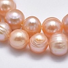 Natural Cultured Freshwater Pearl Beads Strands PEAR-F007-06-01-4