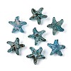 Picasso Transparent Glass Beads SEED-N012-02C-1