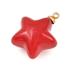 304 Stainless Steel Resin Pendants LS-STAS-K322-10D-02-2