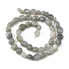 Natural Labradorite Beads Strands G-P623-A03-01-3