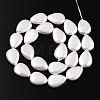 Electroplate Natural Freshwater Shell Beads Strands SHEL-R049-026A-3