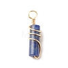 Natural Lapis Lazuli Pendants PALLOY-JF01560-04-1