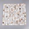 Natural Freshwater Shell Mosaic Tile Cabochons SHEL-Q029-05A-3