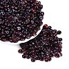 Transparent Colours Glass Seed Beads SEED-Q042-01A-A13-1