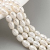 Natural Cultured Freshwater Pearl Beads Strands PEAR-P062-09B-2