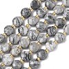 Natural Map Stone Beads Strands G-K389-B84-01-2