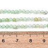 Natural Chrysoprase Beads Strands G-H358-A04-3mm-02-3