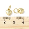 Alloy Pendants FIND-B046-03A-G-3