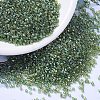 MIYUKI Delica Beads SEED-MY11-DB1247-1