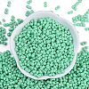 Baking Paint Glass Seed Beads X1-SEED-K010-A07-3