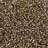 MIYUKI Delica Beads X-SEED-J020-DB2396-3