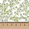6/0 Spray Paint Fringe Glass Seed Beads X1-SEED-H003-11N-4