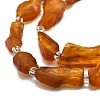 Natural Amber Beads Strands G-E576-62-3