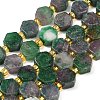 Dyed Natural Fuchsite Beads Strands G-F833-B04-01-2