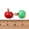 Fruit Alloy Enamel Pendants ENAM-F161-01A-3