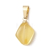 Natural Amber Pendants PALLOY-JF05157-3