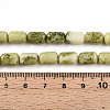 Natural Jade Beads Strands G-N346-01B-13-5