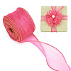 2 Rolls Polyester Mesh Ribbons SRIB-TA0003-42B-2