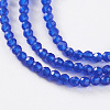 Glass Beads Strands EGLA-E057-02B-06-3