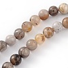 Natural Bamboo Leaf Agate Round Bead Strands G-M248-6mm-04-1