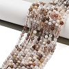 Natural Botswana Agate Beads Strands X-G-G143-A02-01-2