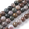 Natural Ocean Jasper Beads Strands G-F668-26-10mm-1