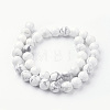 Natural Howlite Bead Strands G-G735-66-10mm-4