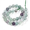 Natural Fluorite Beads Strands G-S345-6mm-31-3