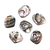 Natural Paua Shell Pendants SHEL-T020-11A-1