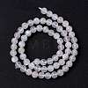 Natural Rainbow Moonstone Beads Strands G-I249-B04-04-4