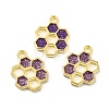 Alloy Enamel Pendants ENAM-J650-06G-05-2