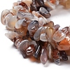 Natural Botswana Agate Beads Strands G-I283-A05-3