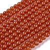 Natural Carnelian Bead Strands G-A130-3mm-K13-1