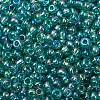 8/0 Round Glass Seed Beads SEED-J011-F8-178-2