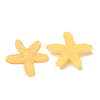Transparent Resin Cabochons RE-CBA49A8-05-1