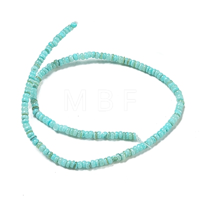 Dyed Natural Freshwater Shell Beads Strands BSHE-G039-07C-1