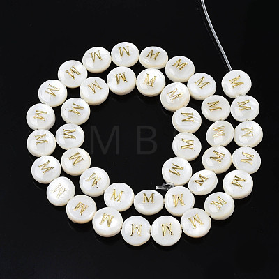 Natural Freshwater Shell Beads SHEL-S276-168M-1